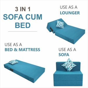 Sofa cum Bed